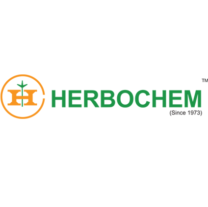 Website Designing Company Delhi