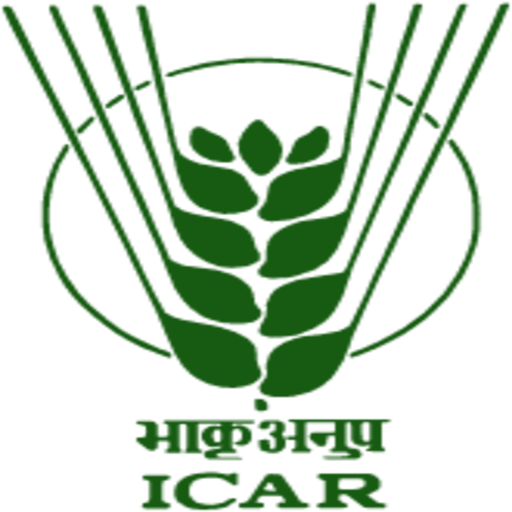 Website Designing Company Delhi